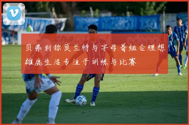 贝弗利称莫兰特与字母哥组合理想雄鹿生活专注于训练与比赛
