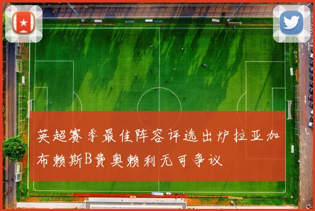 英超赛季最佳阵容评选出炉拉亚加布赖斯B费奥赖利无可争议