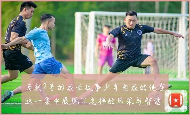 马刺2号的成长故事少年老成的他在这一集中展现了怎样的风采与智慧